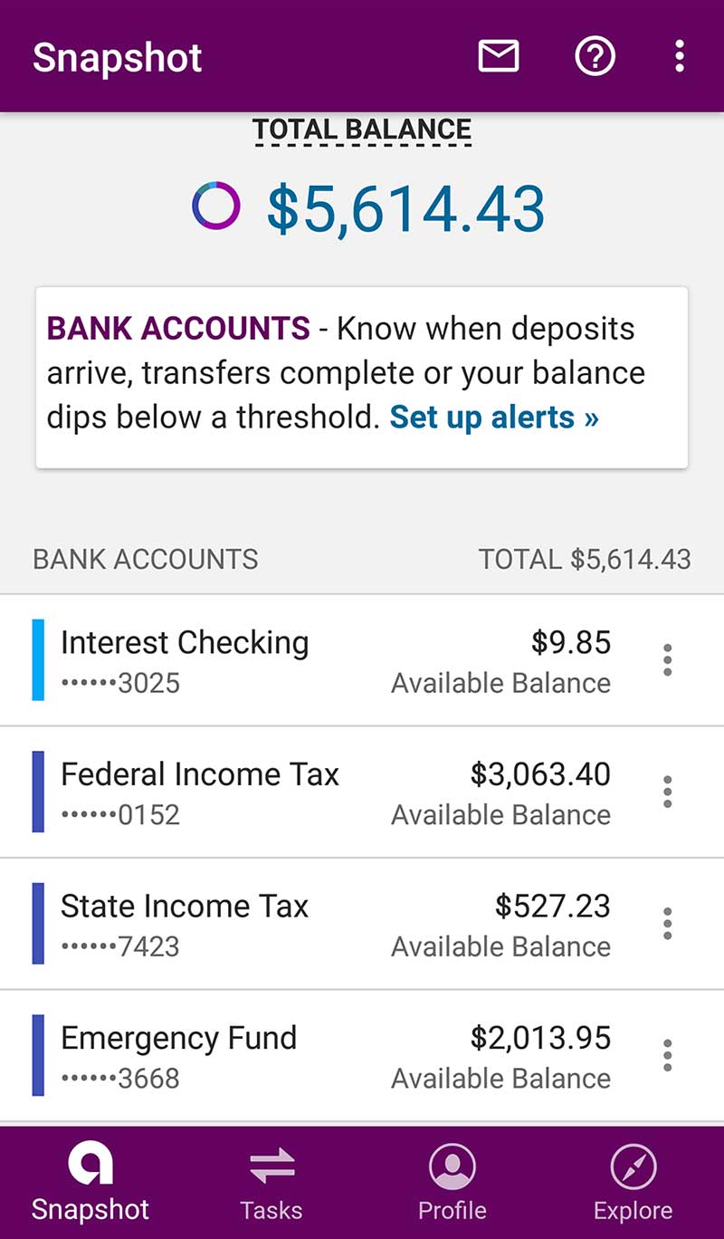 bank account balance screenshot